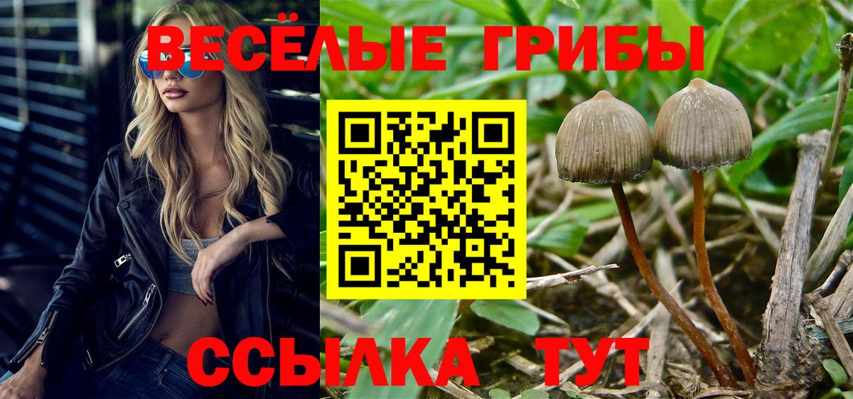 Красногорск  магазин  наркотиков  Псилоцибиновые грибы Magic Shrooms  Вход с VPN  Галлюциногенные грибы прущие грибы 