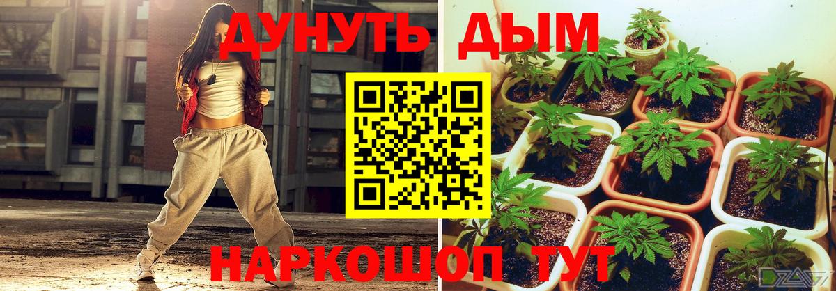 Бошки Шишки конопля Красногорск
